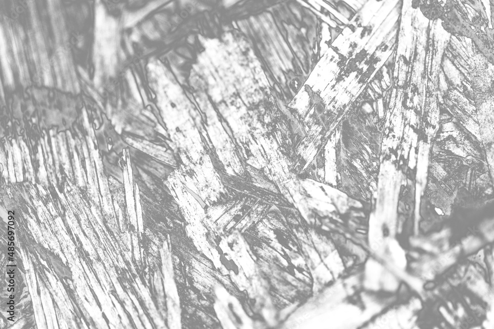 Fototapeta premium Abstract black and white background.