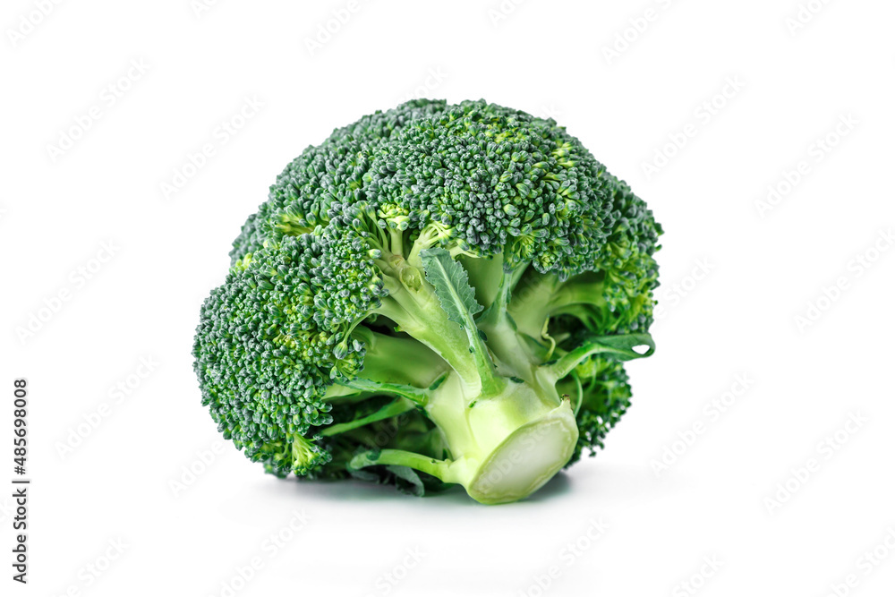 Macro photo green fresh vegetable broccoli.Fresh green broccoli isolated on white background.Broccoli vegetable is full of vitamin.Vegetables for diet and healthy eating.Organic food. Macro photo green fresh vegetable broccoli.Fresh green broccoli isolated on white background.Broccoli vegetable is full of vitamin.Vegetables for diet and healthy eating.Organic food.