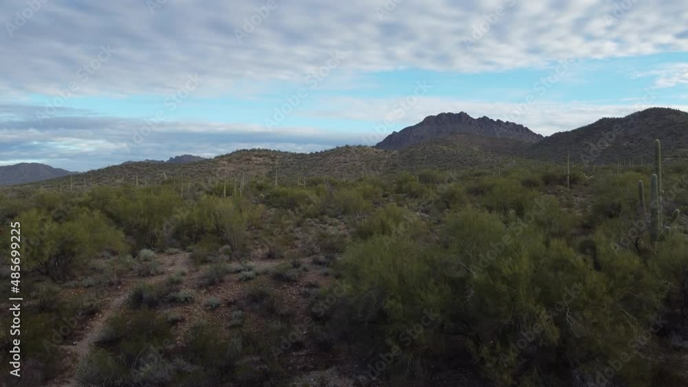 Drone rising up into sky in wilderness area of Tucson Arizona revealing beautiful desert vista of saguaros, cacti, and brush growing on hillsides under nearby majestic mountains. Drone rising up into sky in wilderness area of Tucson Arizona revealing beautiful desert vista of saguaros, cacti, and brush growing on hillsides under nearby majestic mountains.