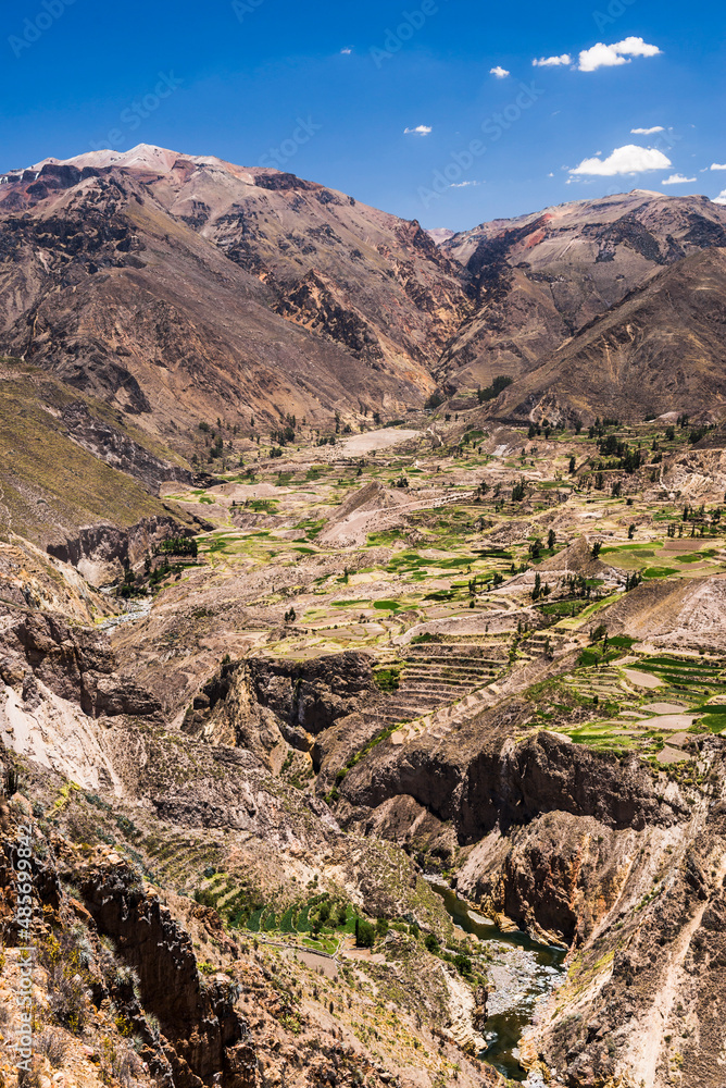 Colca Canyon farmland and terraces, Peru, South America
