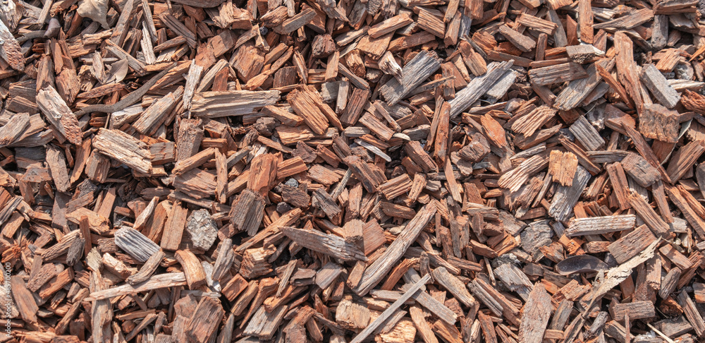 Abstract background texture of natural wood shavings. Wooden pieces on ground. Abstract background texture of natural wood shavings. Wooden pieces on ground.
