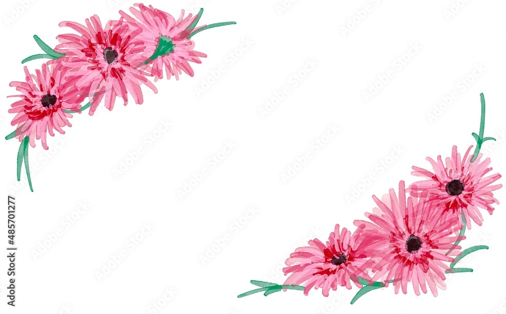 水彩画 水彩で描いたガーベラのイラスト ピンクのガーベライラスト装飾フレーム Watercolor Painting Gerbera Illustration In Watercolor Pink Gerbera Illustration Decoration Frame Stock Illustration Adobe Stock