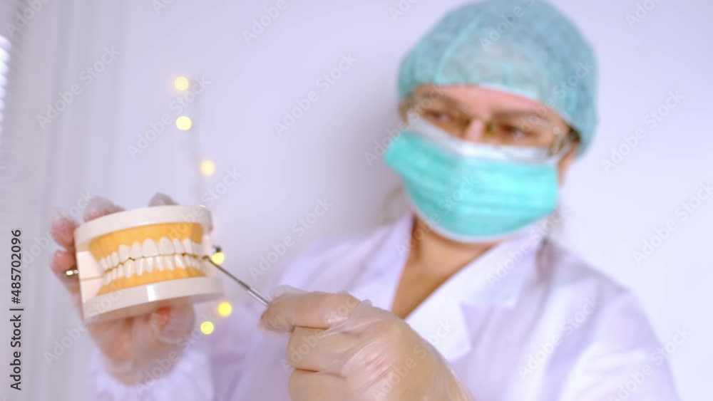 close-up of female hands, doctor dentist holds model of the human jaw ...