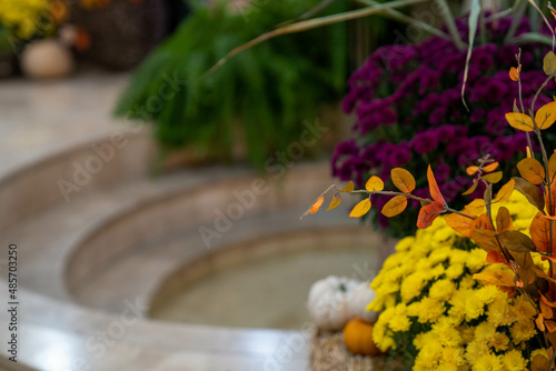 Plants & Greenery in Front of Altar in Christian Church