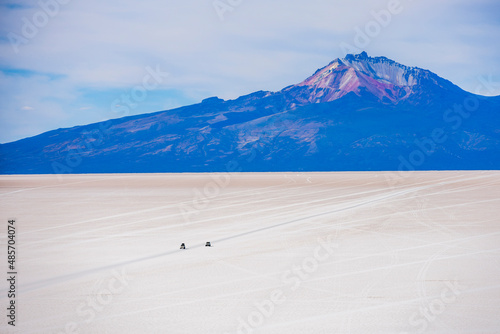 Uyuni Salt Flats (Salar de Uyuni) 4wd tour seen from Island called Isla Incahuasi, Uyuni, Bolivia, South America