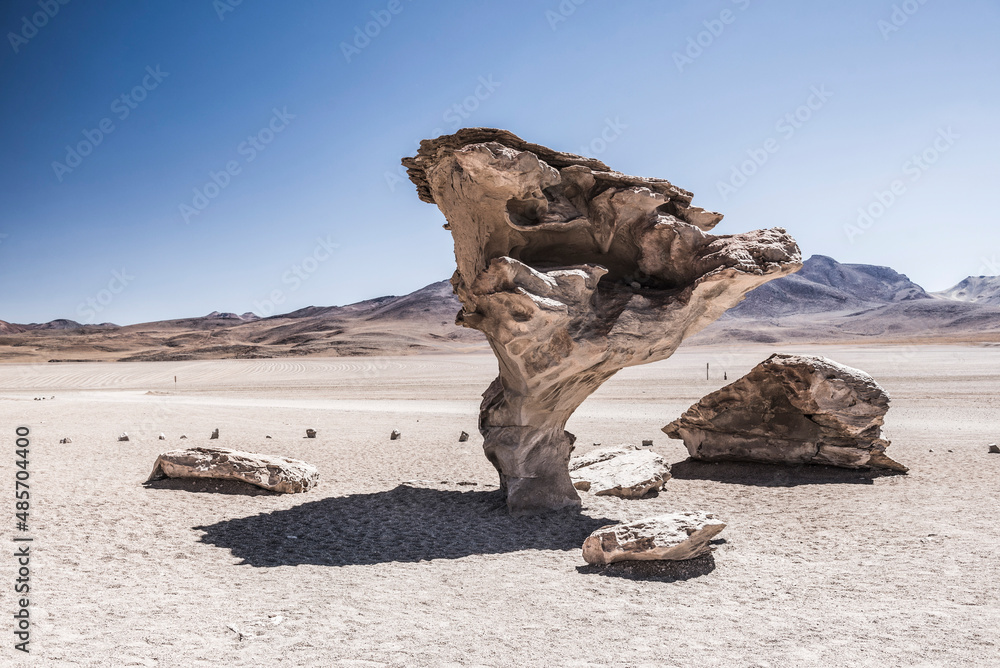 Arbol de Piedra (stone tree), a lava cooled rock formation in the Siloli Desert (part of Atacama Desert) in the Altiplano of Bolivia, Eduardo Avaroa Andean Fauna National Reserve, South America