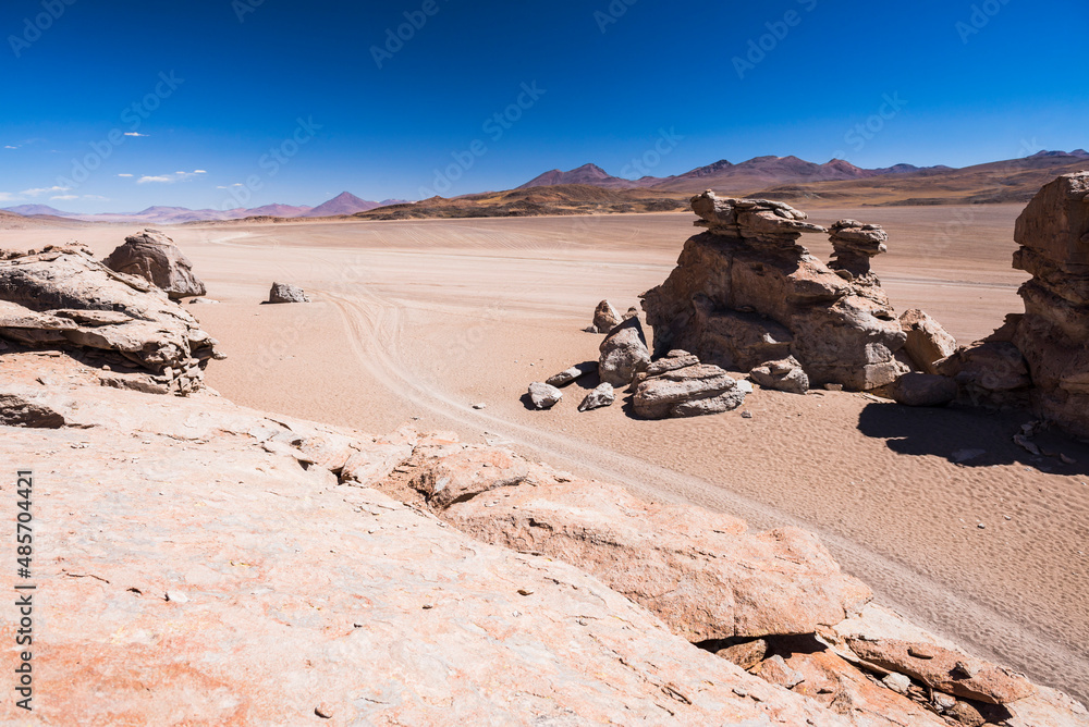 Lava cooled rock formations in the Siloli Desert (part of Atacama Desert) in the Altiplano of Bolivia, Eduardo Avaroa Andean Fauna National Reserve, South America