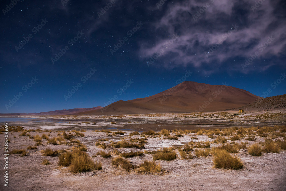 Stars over Chalviri Salt Flats at night (aka Salar de Chalviri), Altiplano of Bolivia in Eduardo Avaroa National Reserve of Andean Fauna, South America