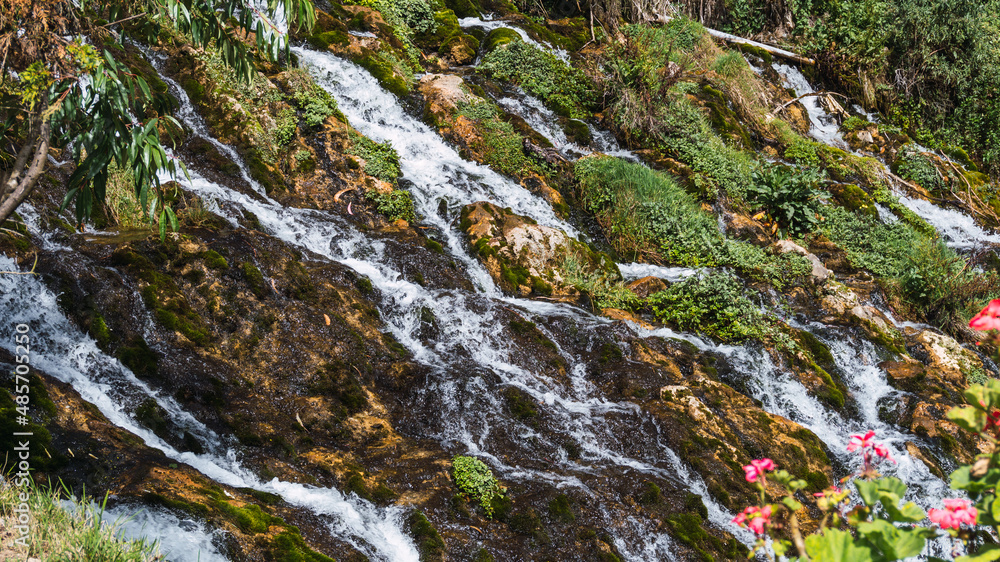 underground stream of crystalline waters, which comes out of the Gruta del Huagapo through a tunnel forming a beautiful waterfall, surrounded by vegetation and flowers. unfocused flowers foreground. underground stream of crystalline waters, which comes out of the Gruta del Huagapo through a tunnel forming a beautiful waterfall, surrounded by vegetation and flowers. unfocused flowers foreground.