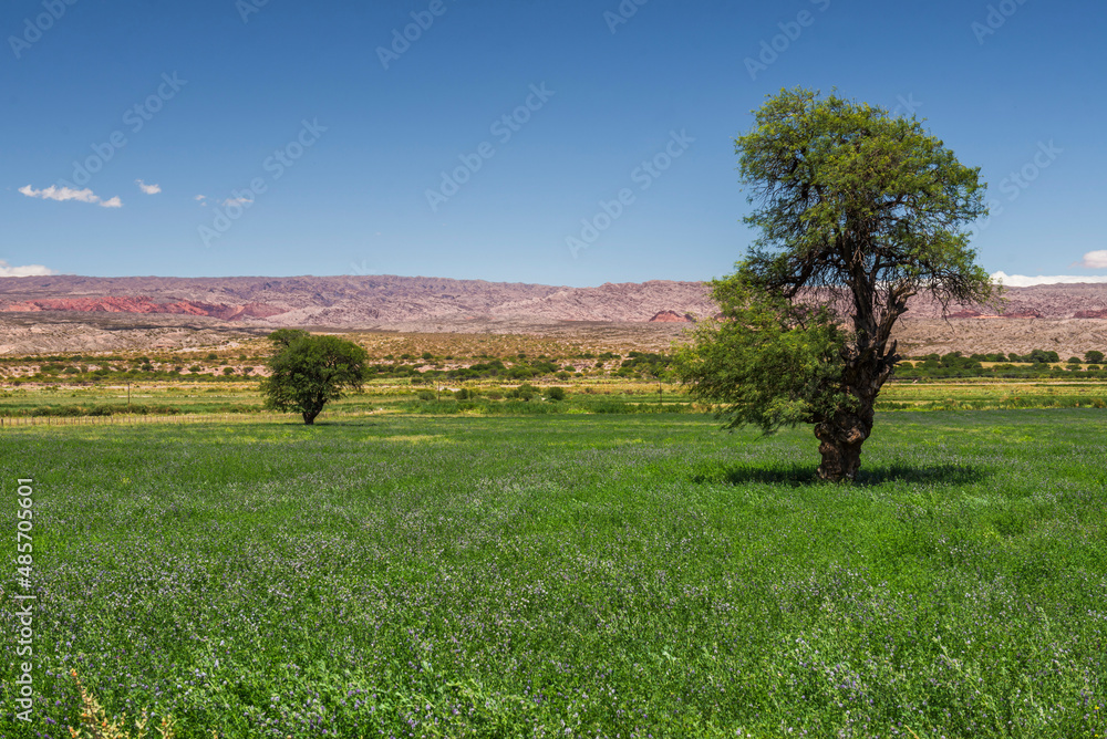 Cachi Valley landscape, Calchaqui Valleys, Salta Province, North Argentina, South America, background with copy space