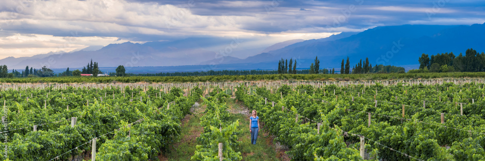 Woman in vineyards in Andes mountains on wine tasting vacation at a winery in Uco Valley (Valle de Uco), a wine region in Mendoza Province, Argentina, South America