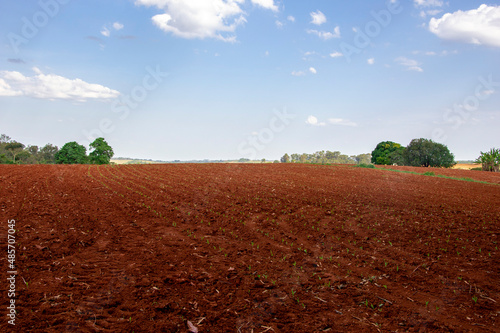 Konstfotografi Farm Fazenda Sítio Chacara