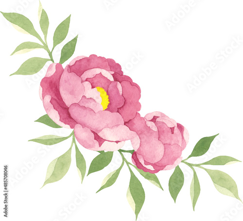 水彩で描いた牡丹のイラスト