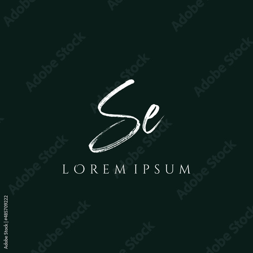 Letter SE luxury logo design vector
