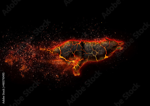 暗闇を駆ける抽象的な炎の犬のイラスト © k_yu