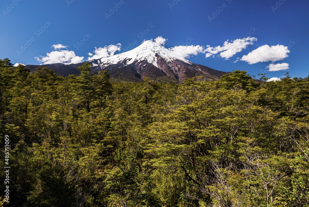 Obraz premium Osorno Volcano (Volcan Osorno), Vicente Perez Rosales National Park, Chilean Lake District, Chile, South America