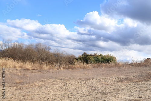 Obraz w ramie 京都府木津川と河川敷の風景