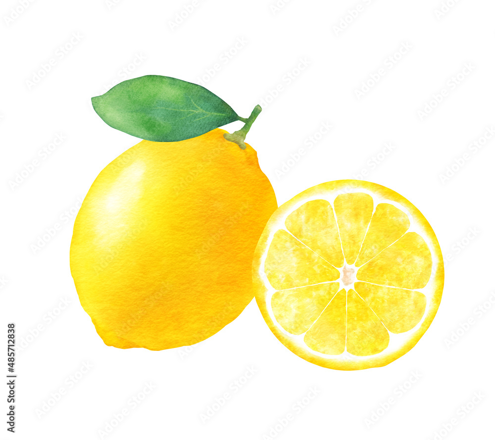 レモンと葉 半分のレモン 新鮮なフルーツの水彩手描きイラスト Stock Illustration Adobe Stock