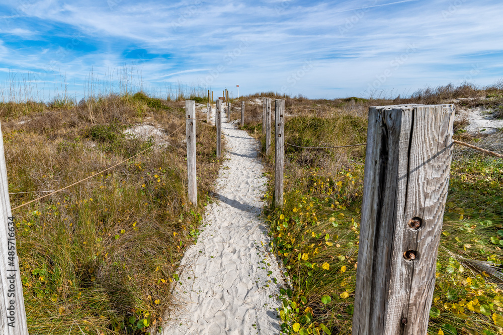 Fototapeta premium creative