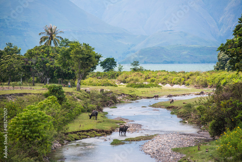 Fototapeta Naklejka Na Ścianę i Meble -  River life at Lake Toba (Danau Toba), the largest volcanic lake in the world, North Sumatra, Indonesia, Asia