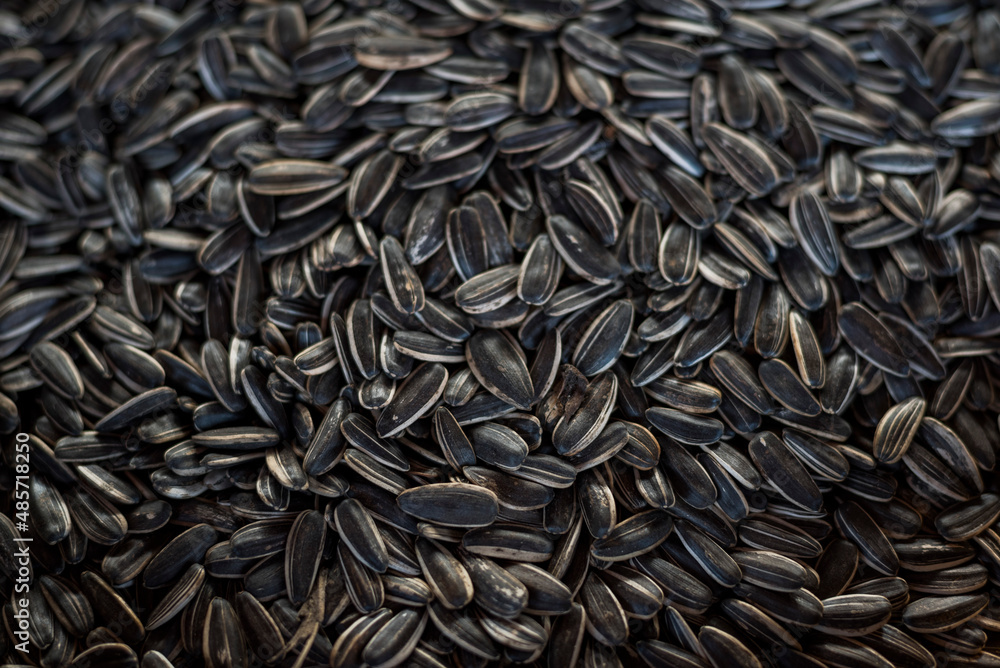 Sunflower seeds in the market, Inle Lake, Shan State, Myanmar (Burma) Sunflower seeds in the market, Inle Lake, Shan State, Myanmar (Burma)