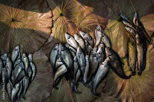Fish for sale at Ywama Market, Inle Lake, Shan State, Myanmar (Burma)