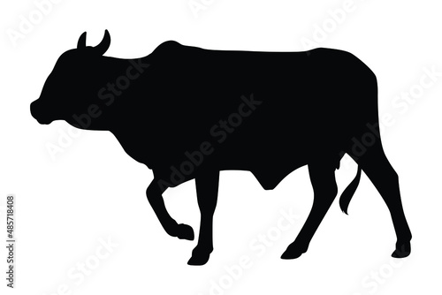 Walking cow silhouette vector on white  Animal in farm.
