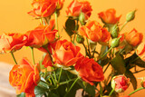 Bouquet of beautiful orange roses on color background, closeup