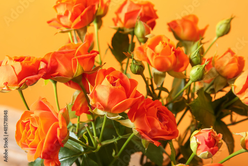Bouquet of beautiful orange roses on color background  closeup