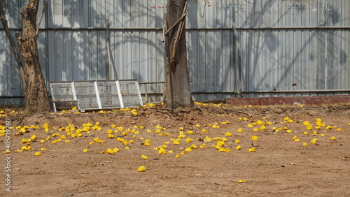Flowers fall along the galvanized fence in the garden.