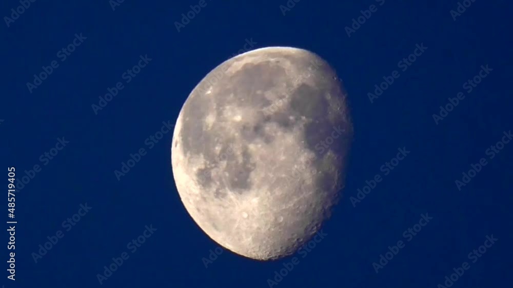 Moon Moon