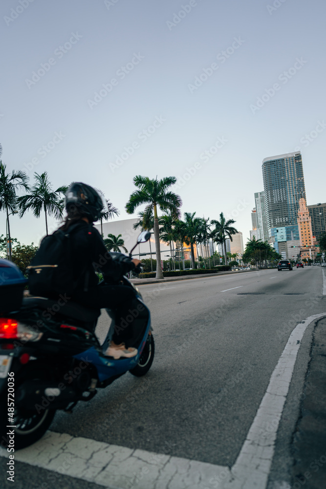 motorcycle on the street downtown miami palms building city motorcycle on the street downtown miami palms building city