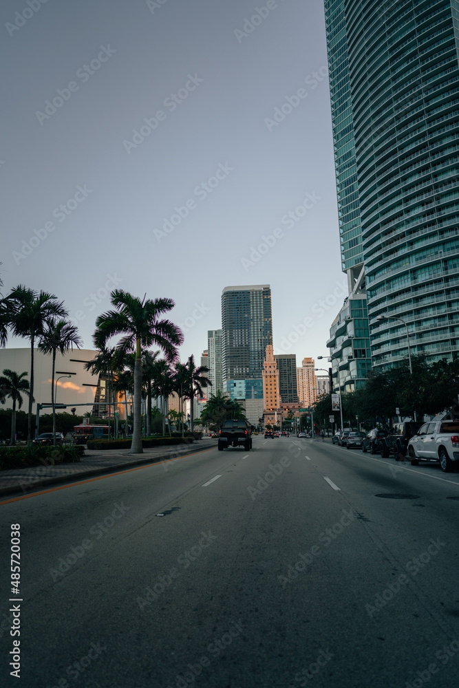 Fototapeta premium downtown city miami street florida buildings palms 