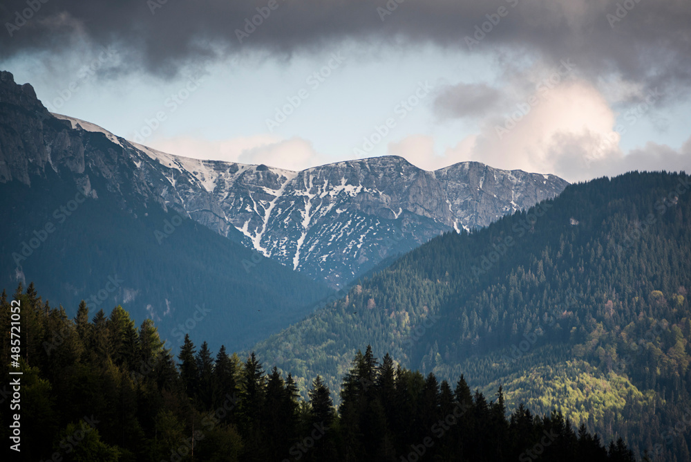 Carpathian Mountains seen from Bran, Transylvania, Romania