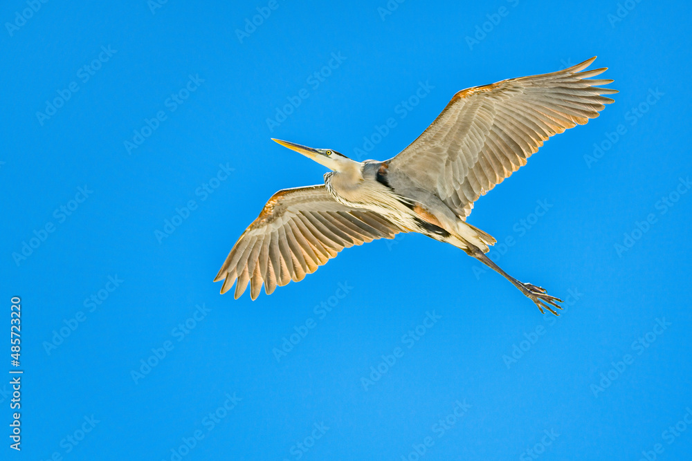 Obraz premium creative