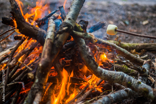 Toasting marshmallows on an open fire while Camping by Loch Ness, near Inverness, Scottish Highlands, Scotland, United Kingdom, Europe