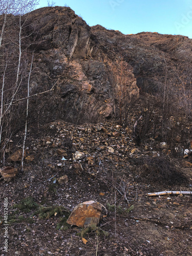 Wallpaper Mural forest in autumn Torontodigital.ca