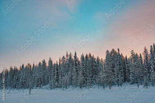 Dramatic sunset sky over snow covered winter forest and trees landscape, Yllasjarvi, Lapland, Finland