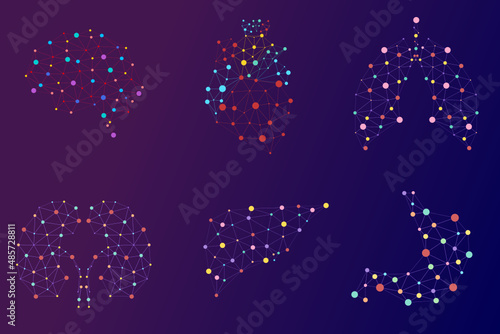 Human internal organs dot low poly banner template. Brain, liver, stomach, heart, lungs, kidneys polygonal illustration. Anatomy scientific poster for schoolbook design layout vector illustration.	