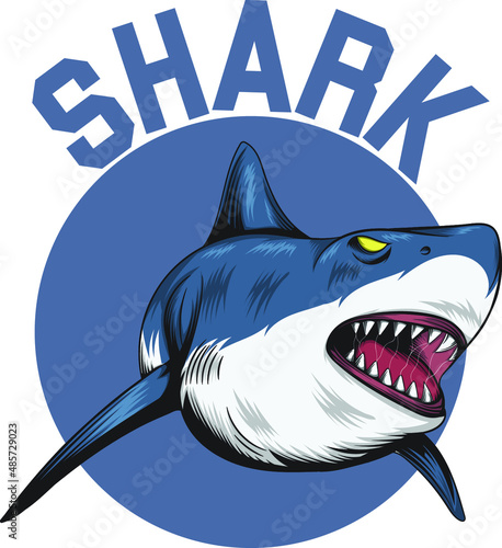 shark cartoon isolated on white  Shark T-Shirts  Unique Designs