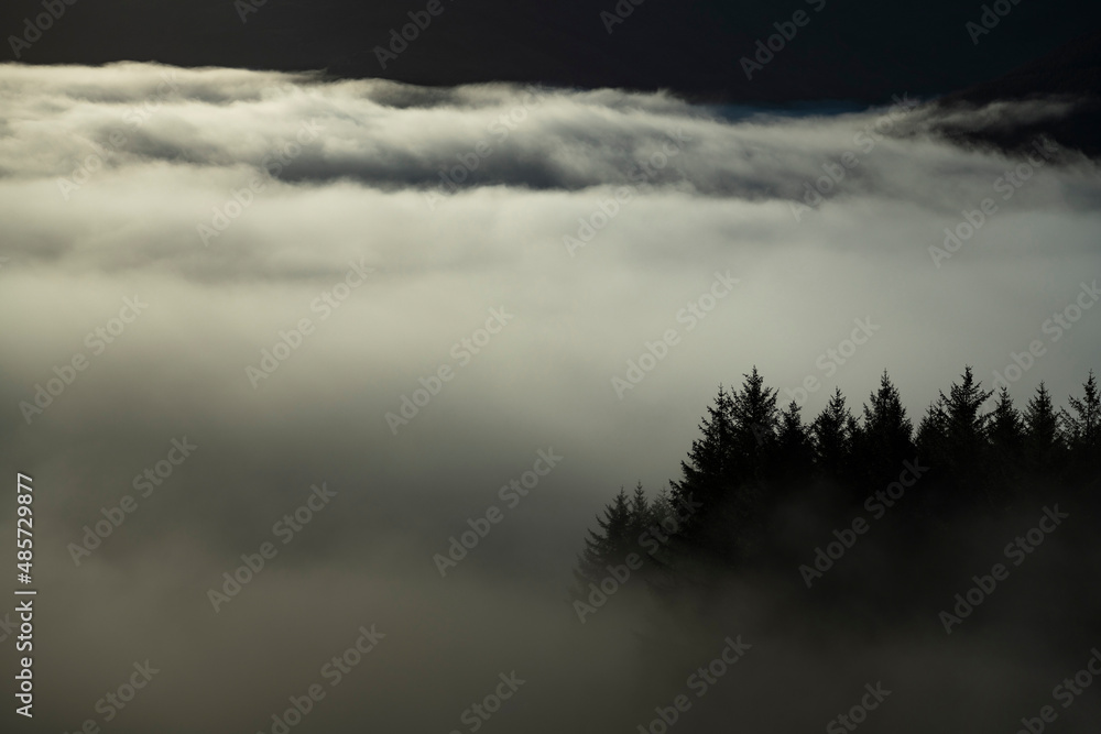 Misty mountain landscape seen from Ben Lomond in Loch Lomond and the Trossachs National Park, Scottish Highlands, Scotland, United Kingdom, Europe Misty mountain landscape seen from Ben Lomond in Loch Lomond and the Trossachs National Park, Scottish Highlands, Scotland, United Kingdom, Europe