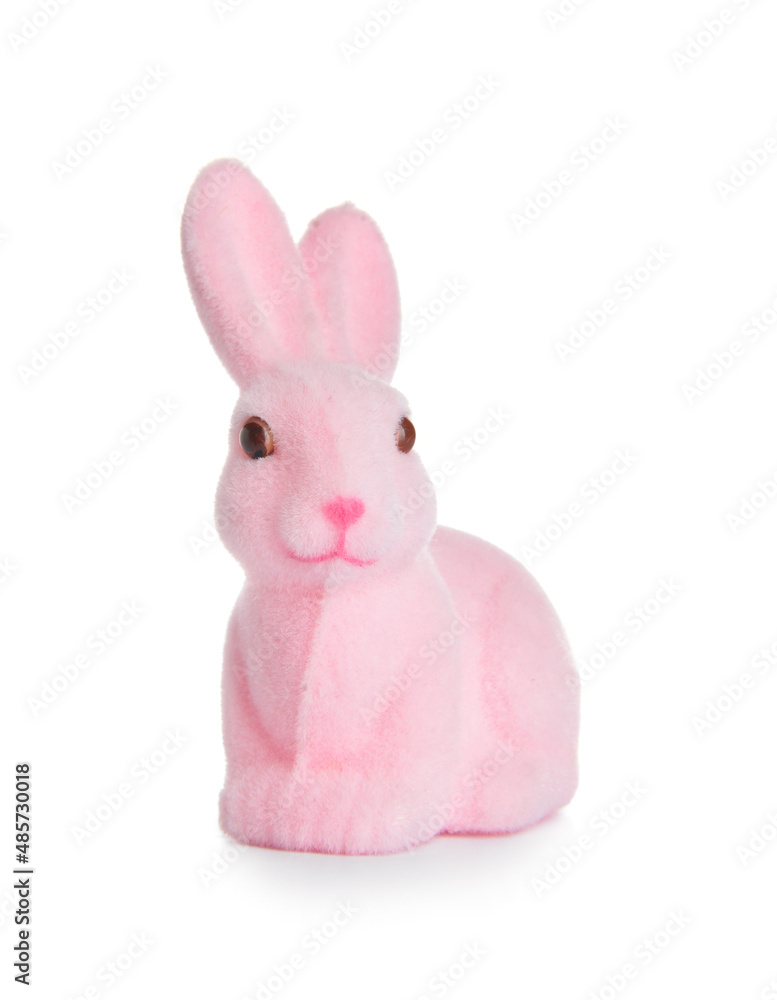 Obraz premium Cute Easter bunny on white background