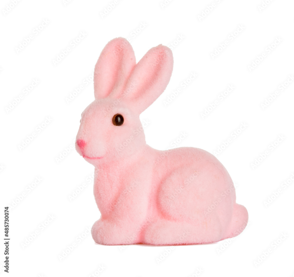 Fototapeta premium Cute Easter bunny on white background