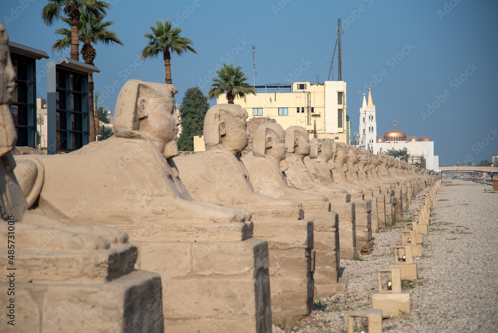Avenue of Sphinxes next to Luxor Temple (Luxor, Egypt).