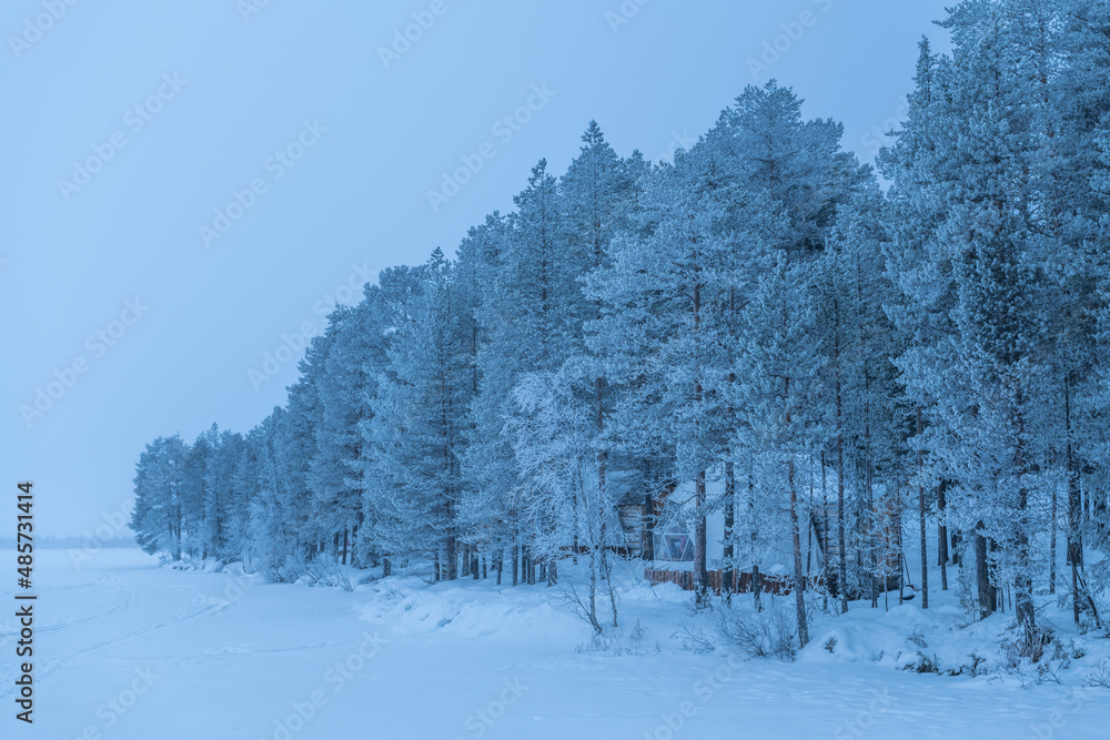 Fototapeta premium Glamping cabin dome in the trees for camping in a winter wonderland snow covered forest landscape in Lapland, Finland, Arctic Circle, Europe