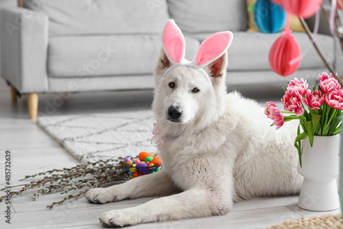 Cute dog with bunny ears, f...