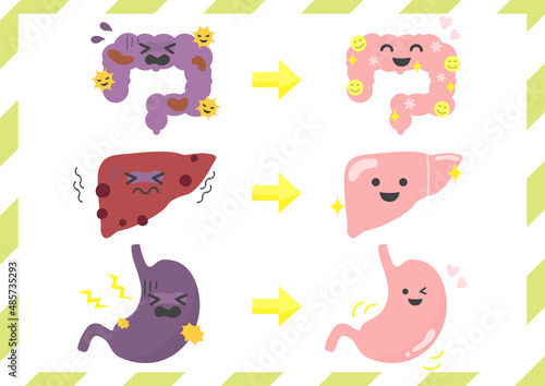 腸　肝臓　胃の内蔵イラストセット