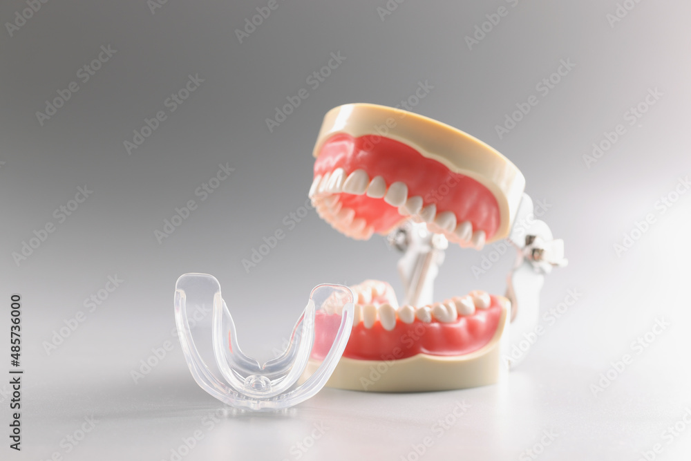 Human tooth model, teeth orthodontic dental model or human jaw, mouthpiece Human tooth model, teeth orthodontic dental model or human jaw, mouthpiece