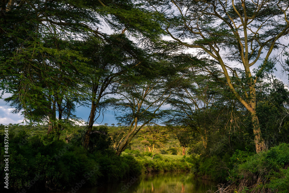 El Karama Ranch, Laikipia County, Kenya El Karama Ranch, Laikipia County, Kenya