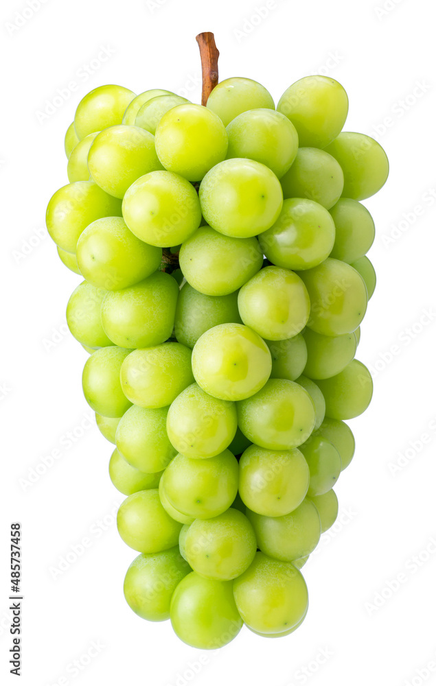 Sweet Green grape isolated on white, Japanese Shine Muscat Grape isolated on white background With clipping path Sweet Green grape isolated on white, Japanese Shine Muscat Grape isolated on white background With clipping path